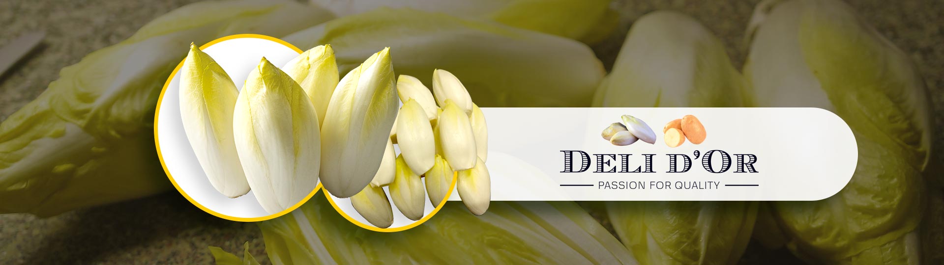 DELI D'OR - Chicory